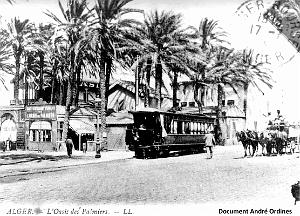 Alger - Oasis des Palmiers